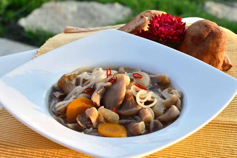 Mushroom Soup for the Far East