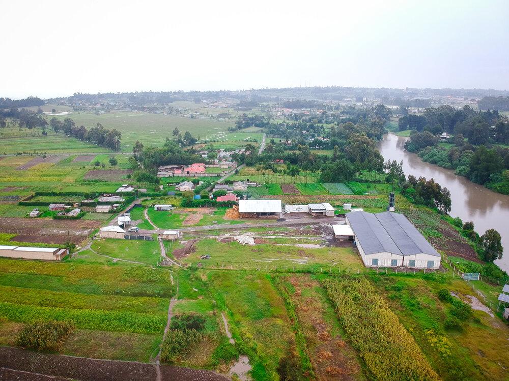 Our mushroom farming facility