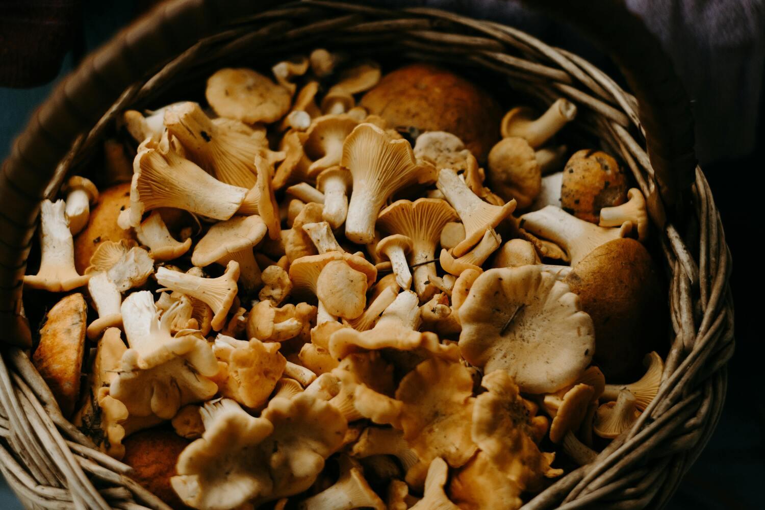 Mushroom recipes background